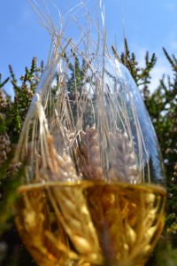 Barley in glass & Heather (426x640)